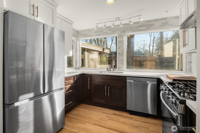 kitchen featuring a sink, under cabinet range hood, stainless steel appliances, dark brown cabinetry, and light countertops