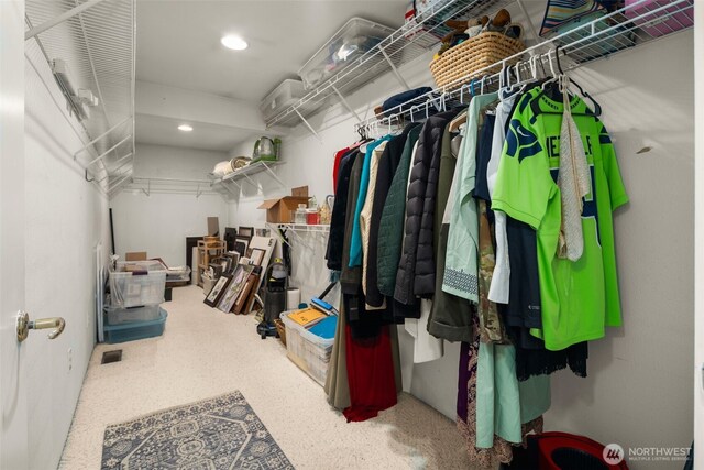 view of spacious closet