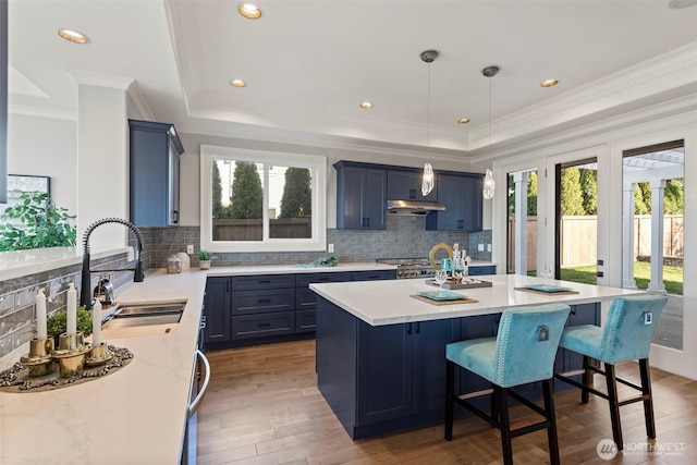 kitchen featuring a sink, a raised ceiling, plenty of natural light, and under cabinet range hood