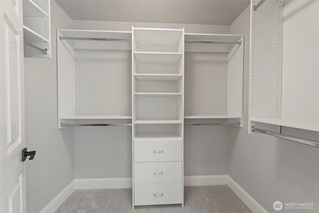 walk in closet featuring carpet floors