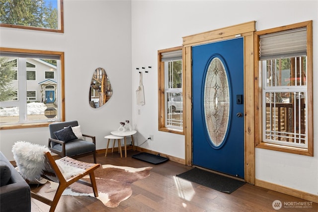 entrance foyer with a wealth of natural light, baseboards, and wood finished floors