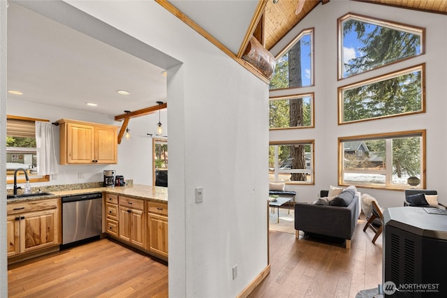 kitchen with light wood finished floors, light brown cabinets, stainless steel dishwasher, plenty of natural light, and a sink