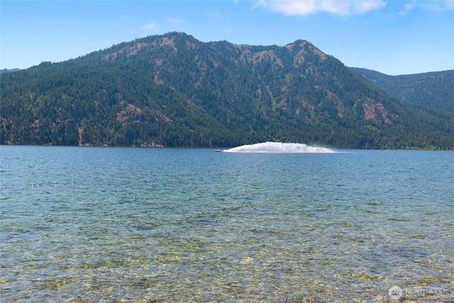 property view of water with a wooded view and a mountain view