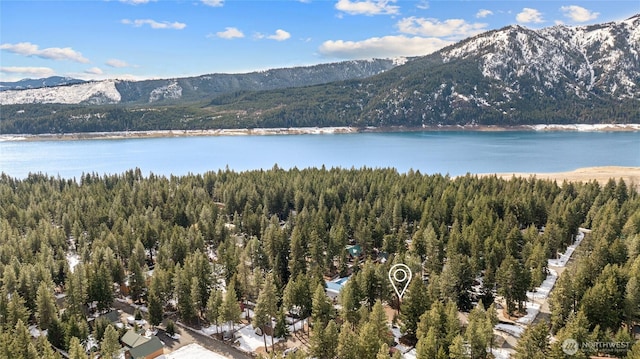 birds eye view of property featuring a water and mountain view and a view of trees