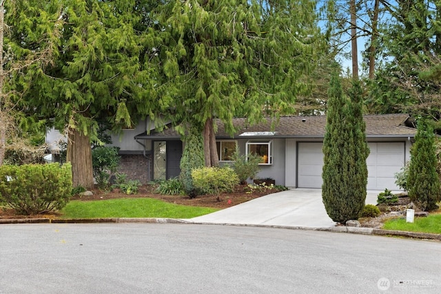 view of front of house with an attached garage, roof with shingles, and driveway