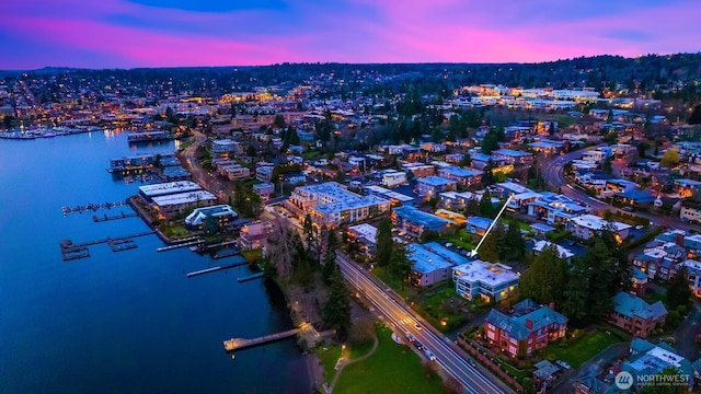 drone / aerial view with a water view