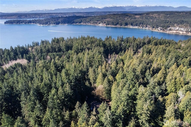 drone / aerial view with a view of trees and a water and mountain view