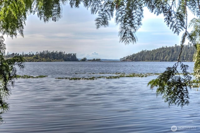 view of water feature with a forest view