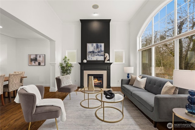 living area featuring a glass covered fireplace, crown molding, wood finished floors, and baseboards