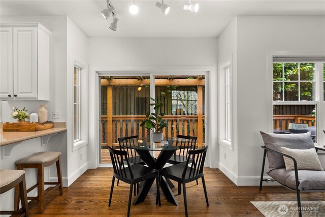 dining room with a healthy amount of sunlight, rail lighting, dark wood-type flooring, and baseboards