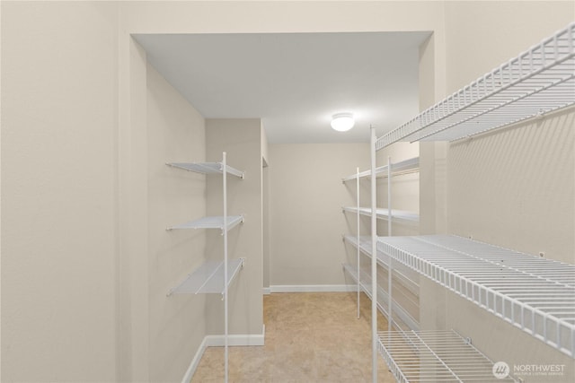 view of walk in closet