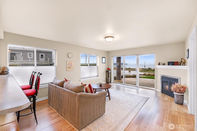 living room with a glass covered fireplace, wood finished floors, and a healthy amount of sunlight