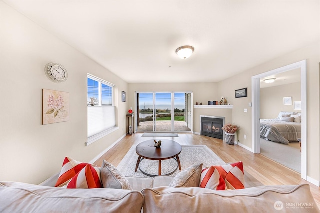 living room with a glass covered fireplace, light wood-type flooring, and baseboards