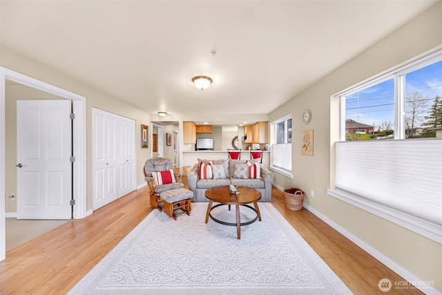 living area with baseboards and light wood-style floors