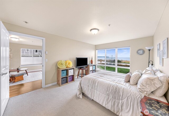 bedroom with baseboards and carpet floors