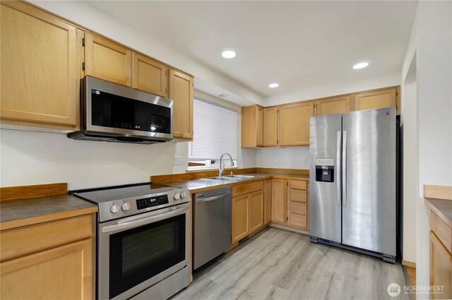 kitchen featuring a sink, appliances with stainless steel finishes, and light brown cabinets