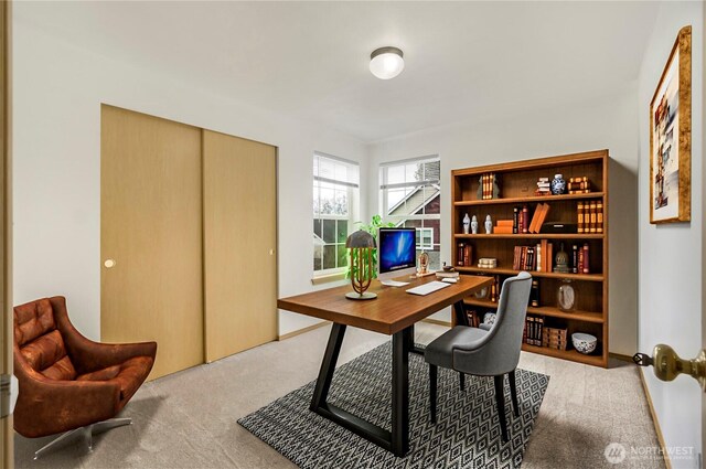 office space with light carpet