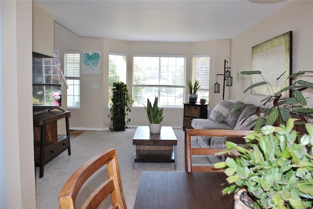 28016 234th Ave SE, Maple Valley, WA 98038 - carpeted living area featuring healthy amount of natural light