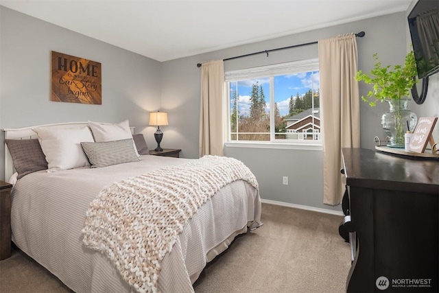 bedroom with baseboards and carpet floors