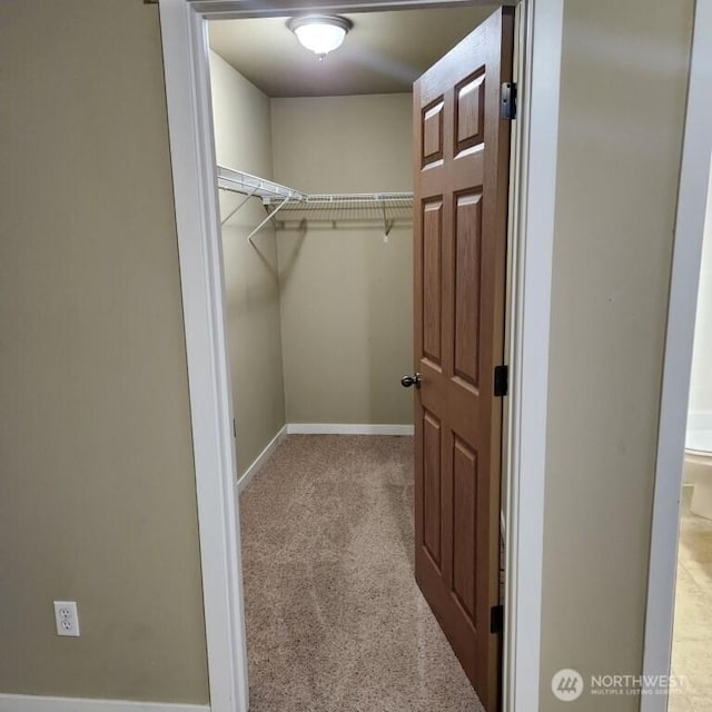 walk in closet featuring carpet