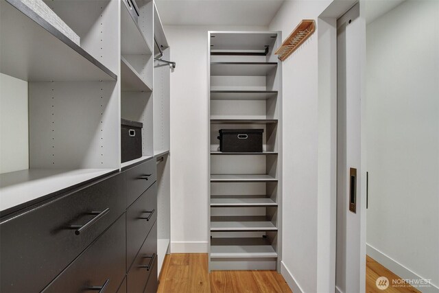 walk in closet with light wood-style flooring