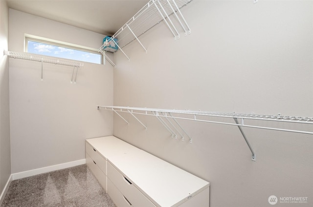 spacious closet featuring light carpet