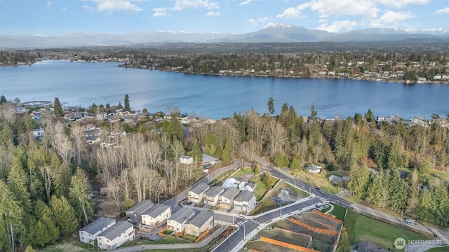 bird's eye view with a view of trees and a water and mountain view