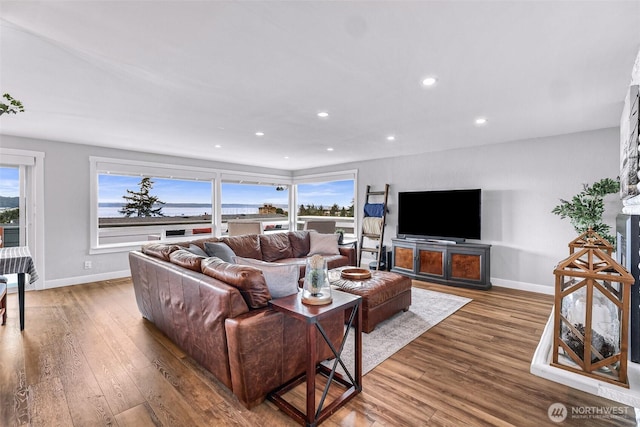 living room with wood finished floors, baseboards, and a healthy amount of sunlight