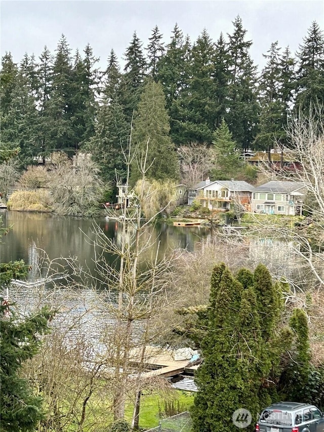 view of water feature