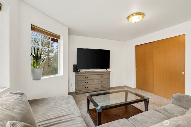 living room featuring carpet