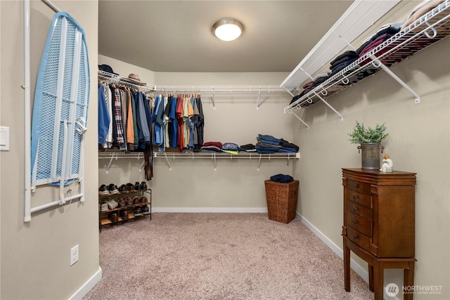 spacious closet featuring carpet