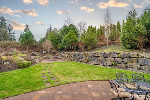 view of yard with a patio