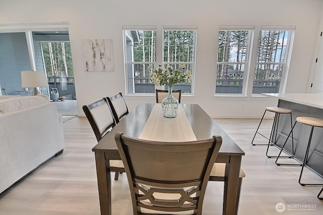 dining room with a wealth of natural light and light wood-style flooring