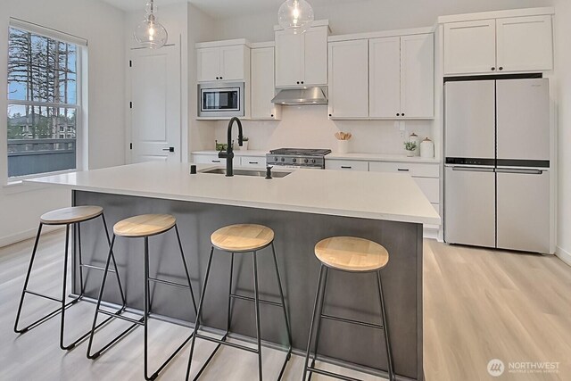 kitchen with white cabinets, a sink, light wood-style floors, under cabinet range hood, and stainless steel appliances