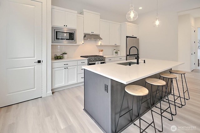 kitchen with a sink, light wood finished floors, stainless steel appliances, and under cabinet range hood