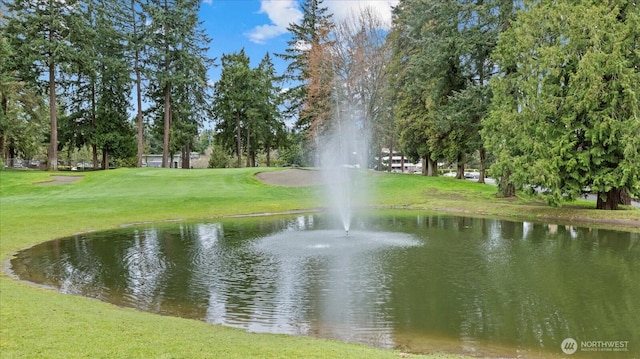 view of home's community featuring a yard and a water view