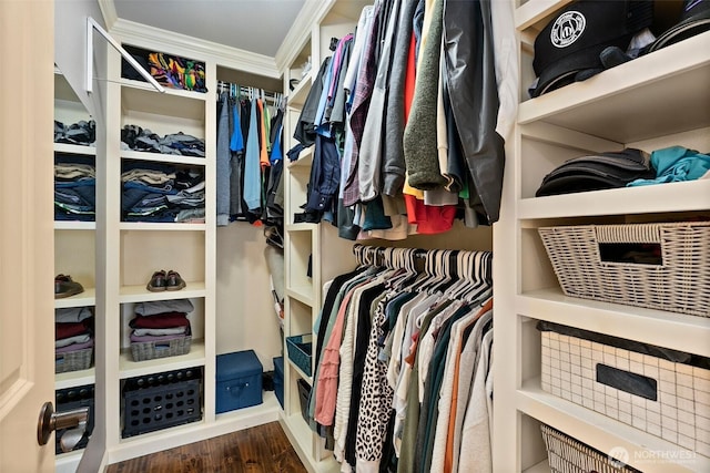 walk in closet featuring wood finished floors