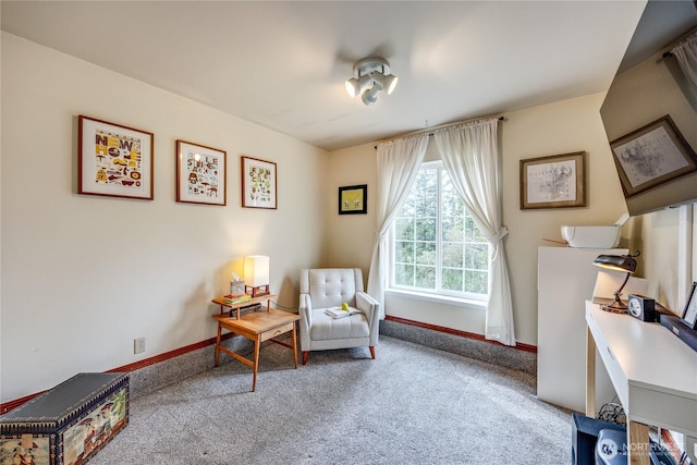 living area featuring baseboards and carpet floors