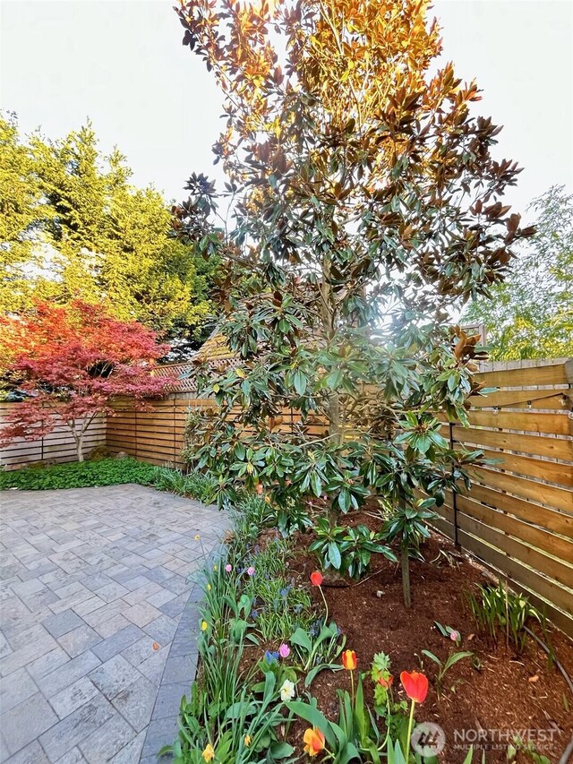 6544 23rd Ave NE, Seattle, WA 98115 - view of patio / terrace with fence