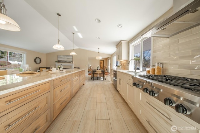 kitchen with a sink, range hood, stainless steel appliances, decorative backsplash, and lofted ceiling