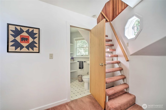 staircase featuring carpet