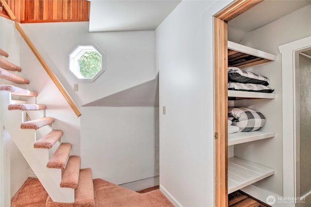 staircase with carpet