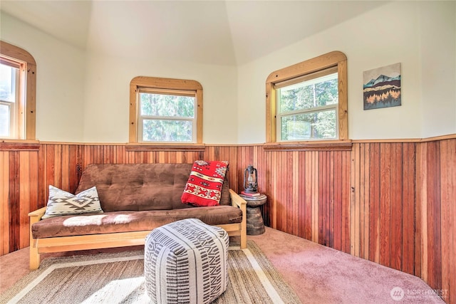 living area featuring wooden walls, a healthy amount of sunlight, carpet floors, and wainscoting