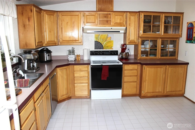 kitchen with range with electric cooktop, a sink, dark countertops, ventilation hood, and dishwasher