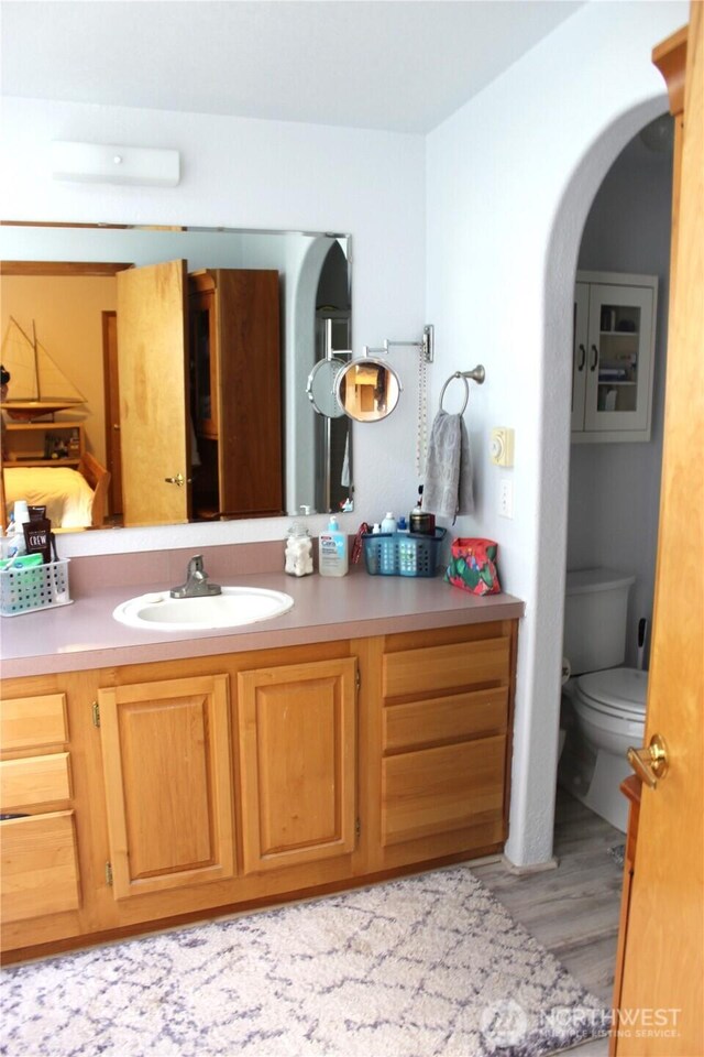 bathroom with toilet, vanity, and wood finished floors