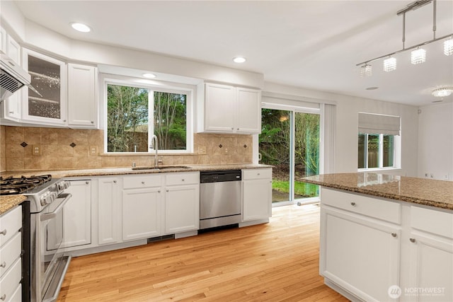 kitchen featuring a sink, stainless steel appliances, a healthy amount of sunlight, and light wood finished floors