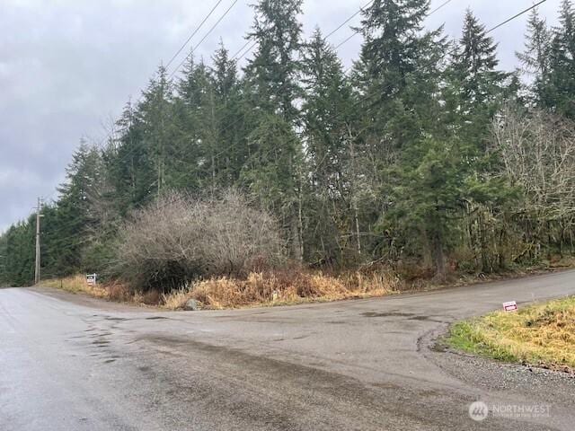 16103 193rd Ave E, Bonney Lake WA, 98391 land for sale