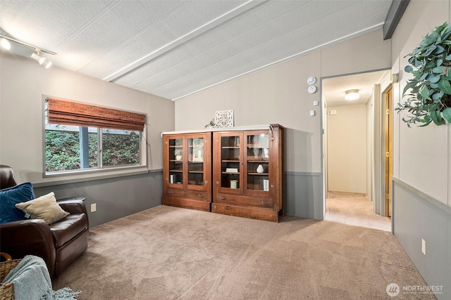 sitting room featuring a textured ceiling, carpet, and vaulted ceiling