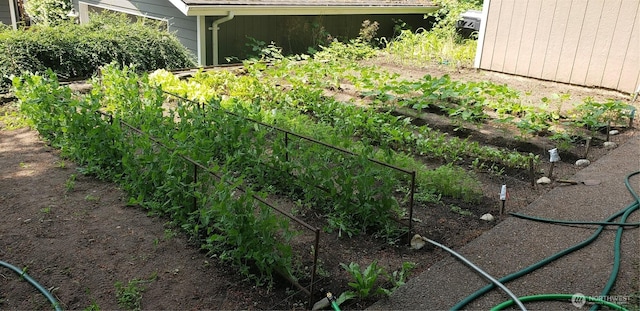 view of yard with a garden