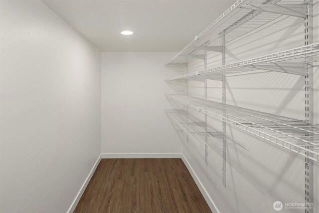 spacious closet featuring dark wood finished floors